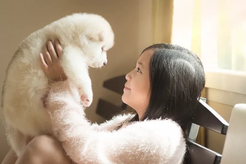 용산 강아지무료분양 강아지 파양입소 현장 1